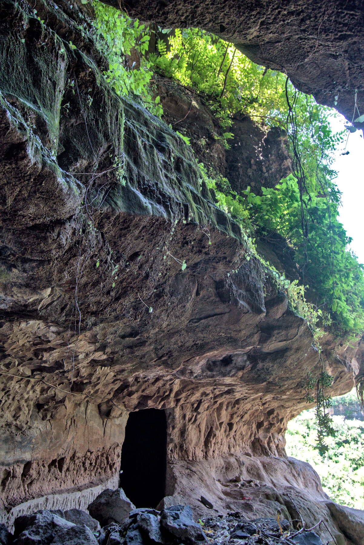 Boca de piedra en la ladera, con helechos y sombra profunda en la entrada