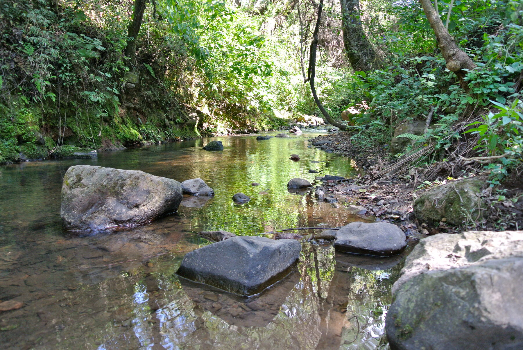 Paraje de Malinalco muy cerca de la naturaleza