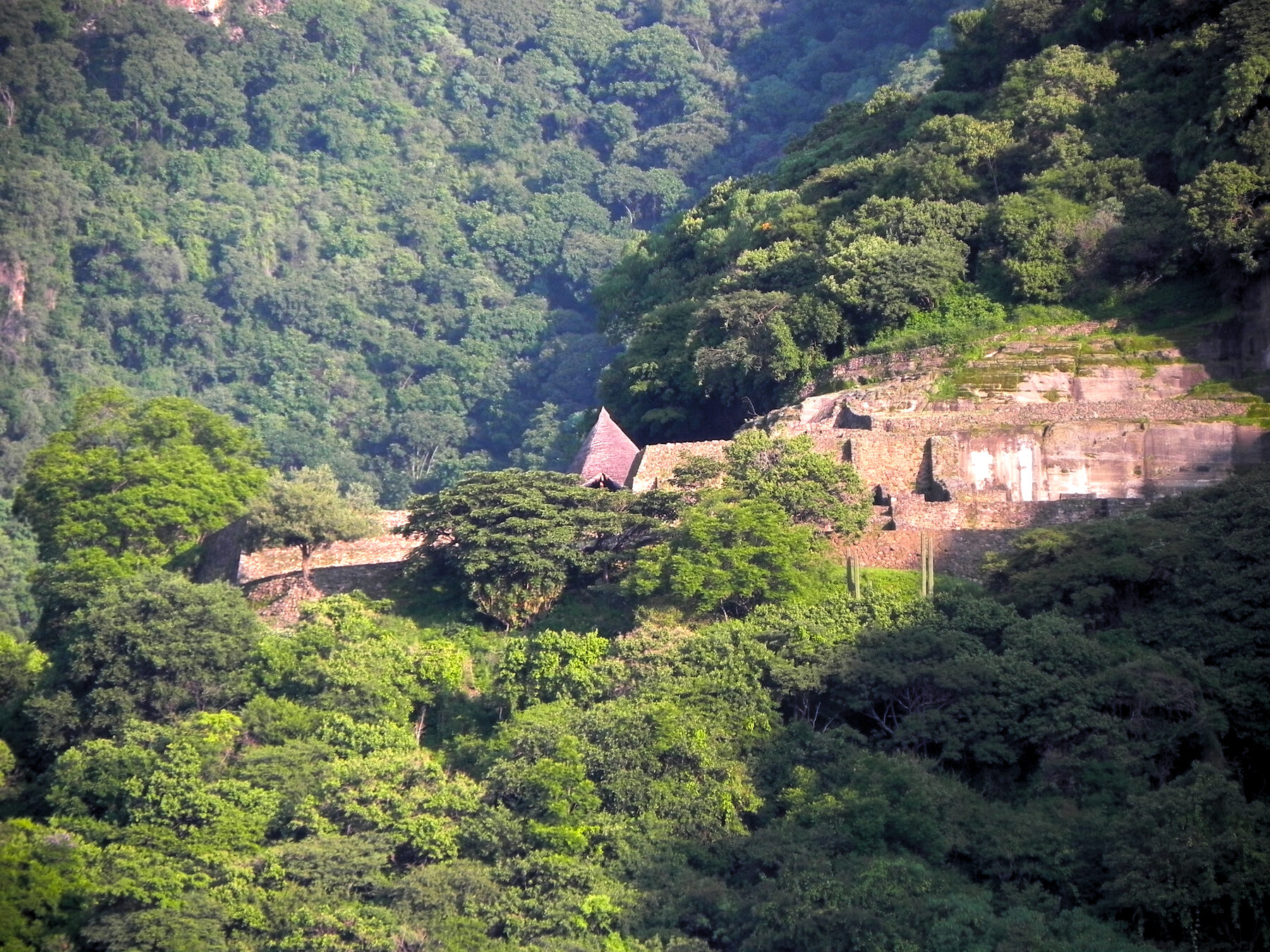 Zona arqueológica de Malinalco entre el bosque, con terrazas de piedra y un techo cónico